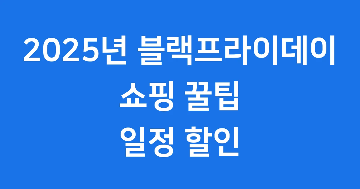 블랙프라이데이 2025년 쇼핑 꿀팁 일정 할인