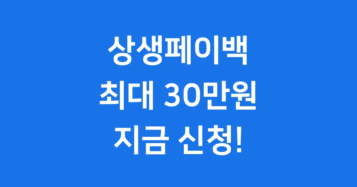 상생페이백 2025년 신청방법 자격조건